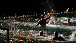 VAK”AN”ZA 31%, finale: Reptili – Nesvrstani 2-4 VAK”AN”ZA 31%, finale: Reptili – Nesvrstani 2-4