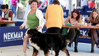 Međunarodna izložba pasa CACIB 2023