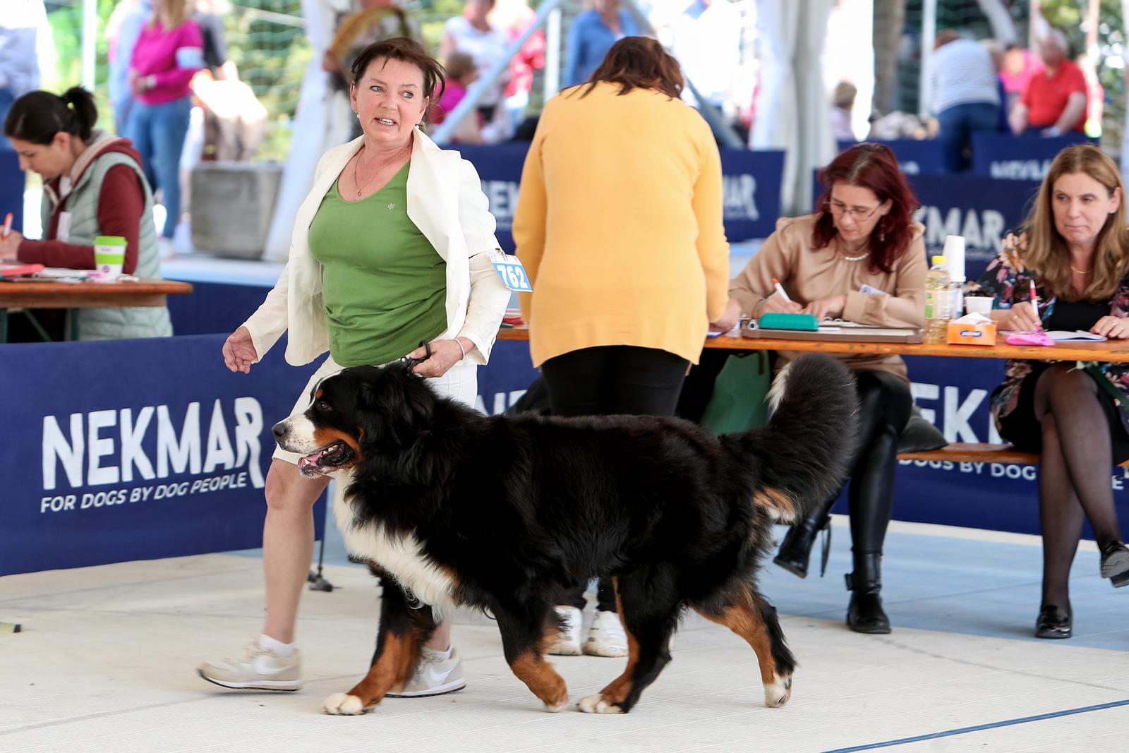 Međunarodna izložba pasa CACIB 2023