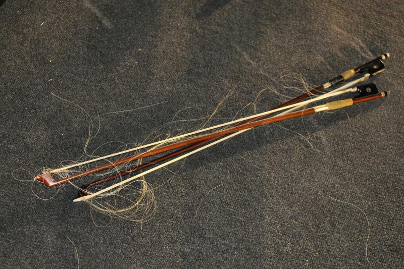 2CELLOS održali koncert u pulskoj Areni i oduševili 5 tisuća fanova, Foto: Duško Marušić/PIXSELL