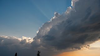 Image 1208599 (auto)