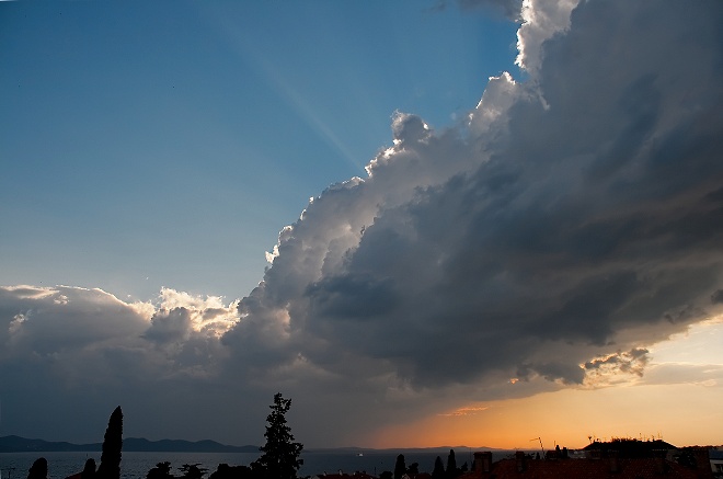 Image 1208599 (auto)