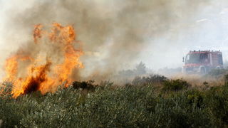 Zadar, 270810
Veliki pozar izbio je danas popodne u Zadru na podrucju izmedju kvarta Bili brig i put Bokanjca. Vatrogasci su i dalje na terenu te se bore sa vatrom da ne dodje do obliznjih kuca.
Foto: Jure Miskovic / CROPIX