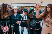 23 Karnevalska povorka Zadar 15.2.2026, Foto Bojan Bogdanić