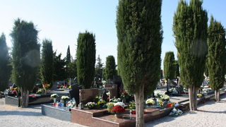 Blagdan Svih Svetih na groblju Belafuža 1. studenog 2011, Foto: Mladen Malik Blagdan Svih Svetih na groblju Belafuža 1. studenog 2011, Foto: Mladen Malik