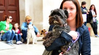 Skup podrške za NO KILL skloništa za životinje,  foto Iva Perinčić