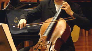 Splitski komorni trio (foto: N.Marčev)