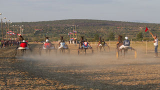 Polača: 14. Međunarodne konjičke utrke “Oluja 95”, Foto: Leo Banić Polača: 14. Međunarodne konjičke utrke “Oluja 95”, Foto: Leo Banić
