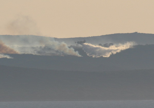 Image 1177171 (auto)