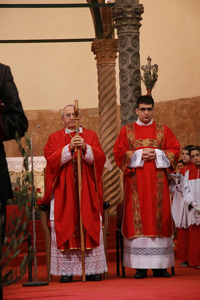 Cvjetnica 20. ožujka 2016: Nakon blagoslova maslinovih grančica, nadbisku Želimir Puljić predvodio je procesiju do katedrale sv. Stošije gdje je služio misno slavlje na kojem se pjevala Muka našeg Gospodina Cvjetnica 20. ožujka 2016: Nakon blagoslova maslinovih grančica, nadbisku Želimir Puljić predvodio je procesiju do katedrale sv. Stošije gdje je služio misno slavlje na kojem se pjevala Muka našeg Gospodina