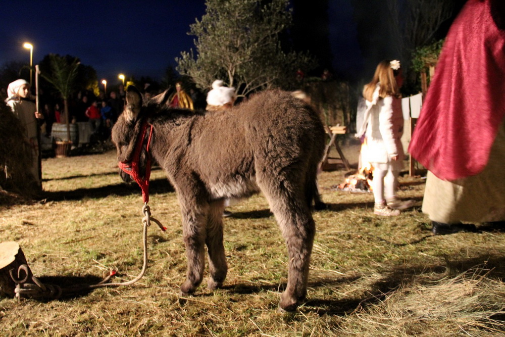 U Diklu kod bunara upriličene žive jaslice U Diklu kod bunara upriličene žive jaslice
