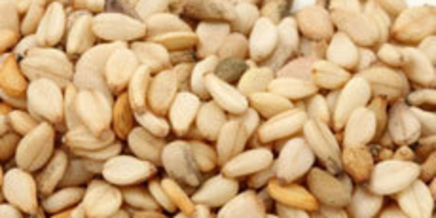 Sezam, foto: plivazdravlje.hr Sezam, foto: plivazdravlje.hr