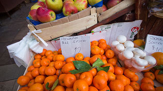 Đir po pijaci, 30. siječnja 2012. (foto:Saša Čuka)