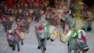 Sukosan: 40. Memorijal kenje Viole i svicarenje, 9. kolovoza 2009, Foto: Mirta Krupic