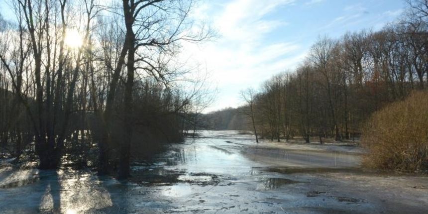 Zaledjena suma u zimskom razdoblju