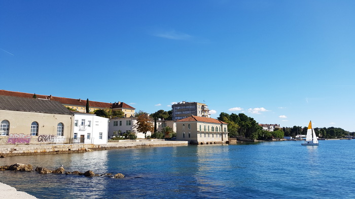 Zadarska Koka 2016. 22. listopada 2016. Foto: Mladen Malik Zadarska Koka 2016. 22. listopada 2016. Foto: Mladen Malik