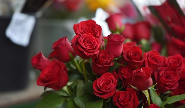 Valentinovo u Šibeniku