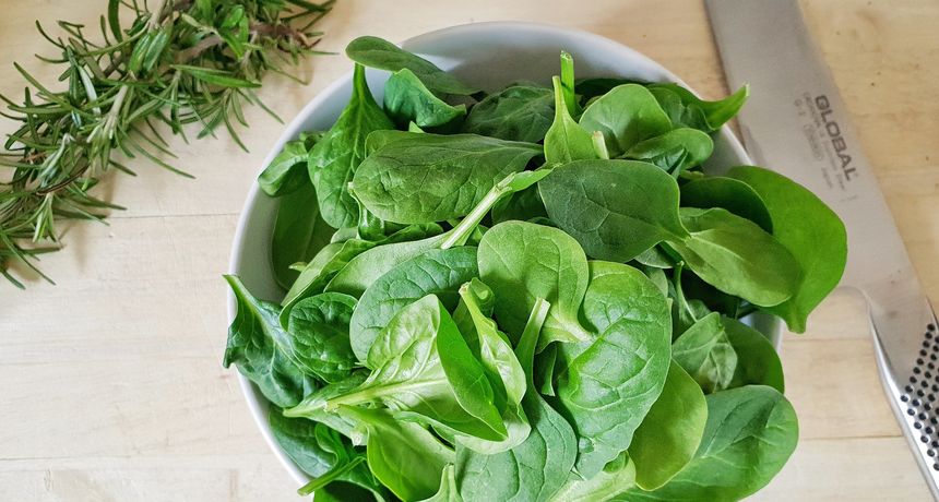 Špinat Špinat