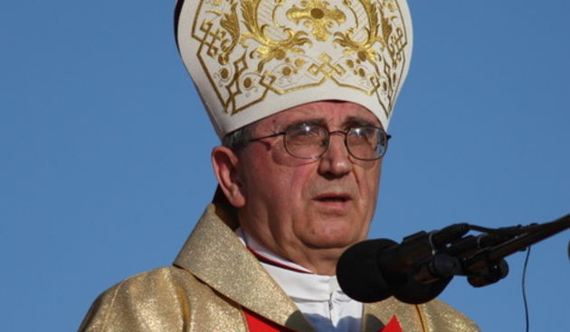 Zadar, 080510.
Zadar je domacin Susreta katolicke mladezi 2010. 
Susret ce trajati dva dana a u njemu ce sudjelovati preko 30.000 mladih iz Hrvatske i svijeta. 
Na slici: misa u sportskom centru Visnjik, nadbiskup zadarski Zelimir Puljic
Foto: Vladimir Iv