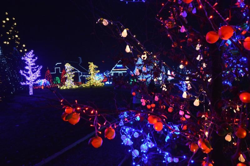 Božićna priča obitelji Salaj s rekordnih 1,88 milijuna lampica. Foto: Damir Špehar/PIXSELL