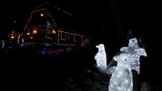 Cazma, 171210.
Grabovnica pokraj Cazme.
Imanje obitelji Salaj.
Predsjednica Vlade Jadranka Kosor svecano je upalila lampice na imanju obitelji Salaj u okviru Bozicne price u Cazmi.
Na imanju je ove godine upaljeno 1100000 lampica.
Prigodom otvorenja bio j