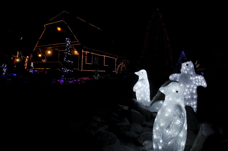 Cazma, 171210.
Grabovnica pokraj Cazme.
Imanje obitelji Salaj.
Predsjednica Vlade Jadranka Kosor svecano je upalila lampice na imanju obitelji Salaj u okviru Bozicne price u Cazmi.
Na imanju je ove godine upaljeno 1100000 lampica.
Prigodom otvorenja bio j