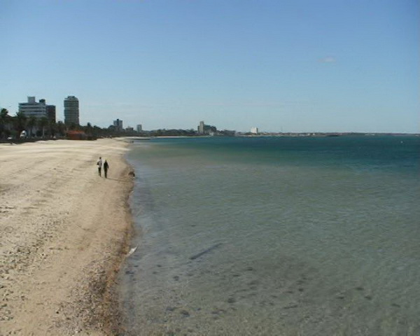 Djir po Melbourneu 3. rujna 2009.