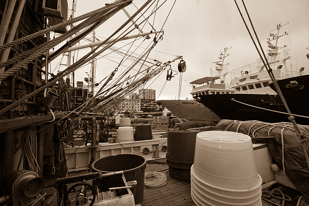 Ribarice u zadarskoj luci, Foto: Leo Banić