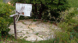 Image 1190429 (auto)