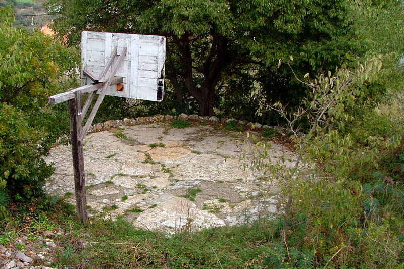 Image 1190429 (auto)