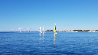 Zadarska Koka 2016. 22. listopada 2016. Foto: Mladen Malik Zadarska Koka 2016. 22. listopada 2016. Foto: Mladen Malik