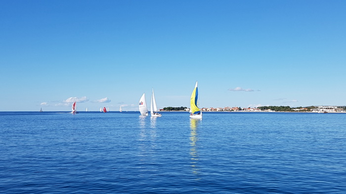 Zadarska Koka 2016. 22. listopada 2016. Foto: Mladen Malik Zadarska Koka 2016. 22. listopada 2016. Foto: Mladen Malik