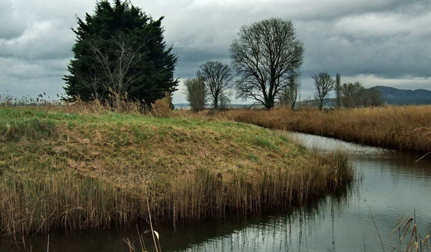 Đir uz Vransko jezero 17. siječnja 2014.  Foto: Leonard Kvarantan