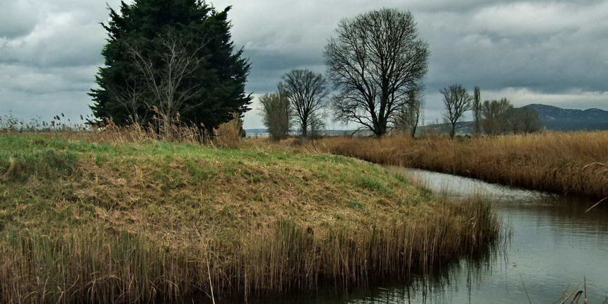 Đir uz Vransko jezero 17. siječnja 2014. Foto: Leonard Kvarantan Đir uz Vransko jezero 17. siječnja 2014. Foto: Leonard Kvarantan
