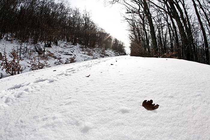 Đir do vrha Zečjak na sjevernom Velebitu, Foto: Leo Banić