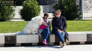 Đir po gradu 3. ožujka 2017.