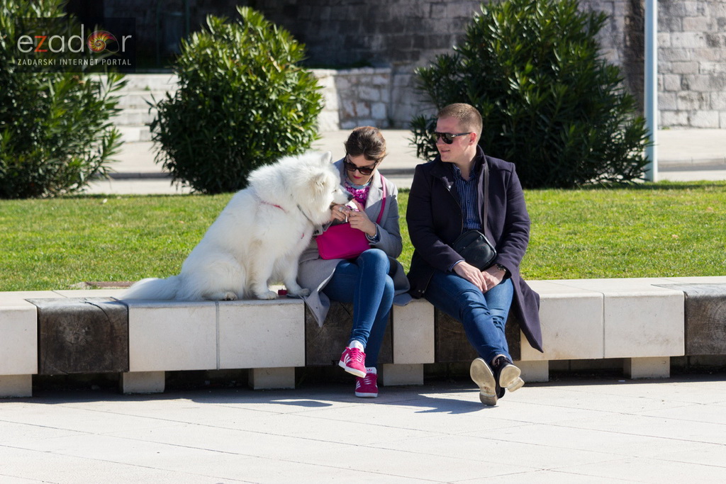 Đir po gradu 3. ožujka 2017.