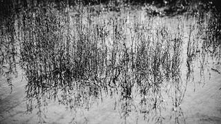 Crno bijela bajka na Kraljičinoj plaži, foto: Iva Perinčić