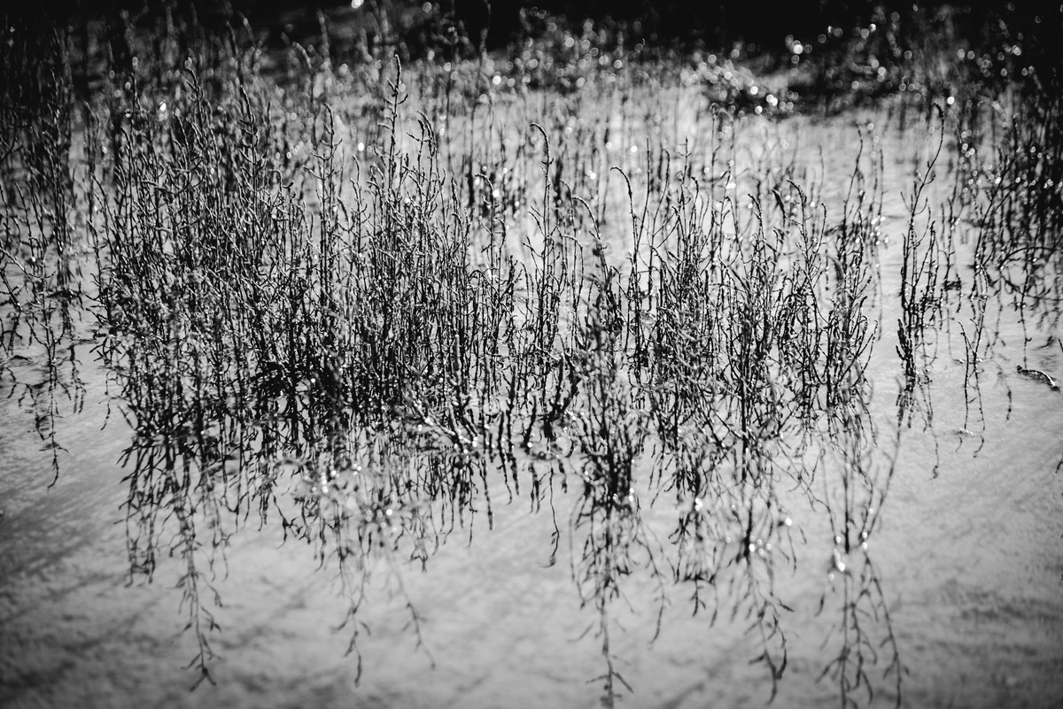 Crno bijela bajka na Kraljičinoj plaži, foto: Iva Perinčić