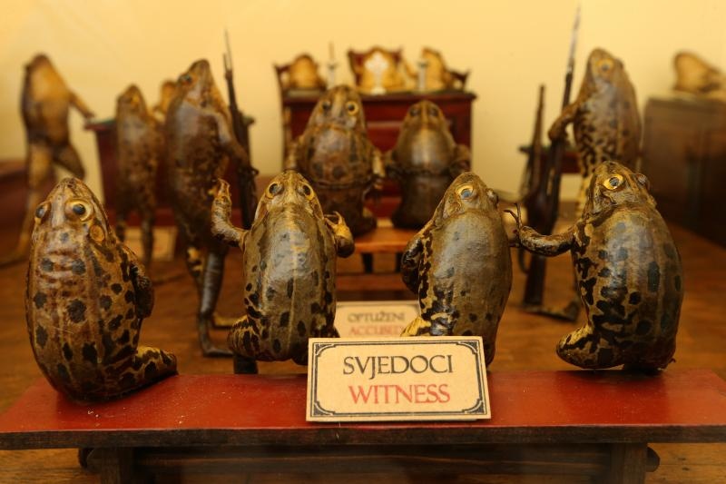 Zbirka od 500-tinjak prepariranih zaba u ljudskim situacijama, smjestena u bivsem kinu Tesla, prema rijecima vlasnika Ivana Medveseka, ne naliazi na dovoljno zanimanje institucija RH pa bi uskoro trebala preseliti u London. Photo: Ivo Cagalj/PIXSELL Zbirka od 500-tinjak prepariranih zaba u ljudskim situacijama, smjestena u bivsem kinu Tesla, prema rijecima vlasnika Ivana Medveseka, ne naliazi na dovoljno zanimanje institucija RH pa bi uskoro trebala preseliti u London. Photo: Ivo Cagalj/PIXSELL