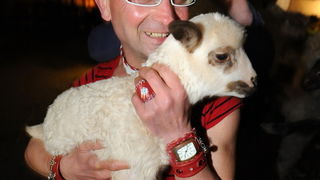 Zadar, 280212
Zadarski modni macak, Jadranko Kljucanin, veceras je unutar i ispred kafica Petit izveo performans sa sukosanskim zvoncarima i njihovim janjcima. 
Foto: Luka Gerlanc / CROPIX