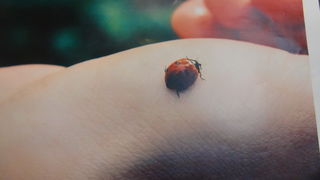 Otvorenje smotre “Art dizajn 2014.” Otvorenje smotre “Art dizajn 2014.”