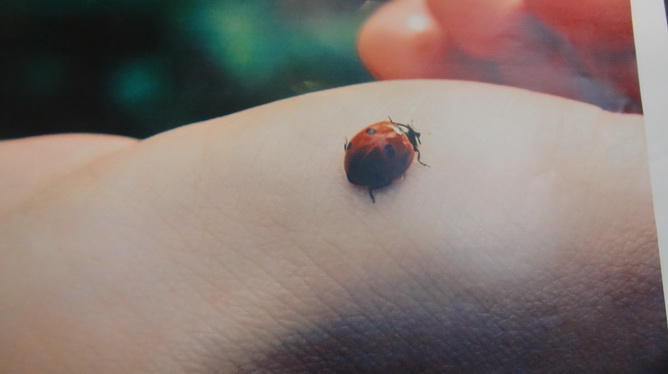 Otvorenje smotre “Art dizajn 2014.” Otvorenje smotre “Art dizajn 2014.”