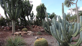 Skitnja po Maroku, foto: Pero Šindija Skitnja po Maroku, foto: Pero Šindija