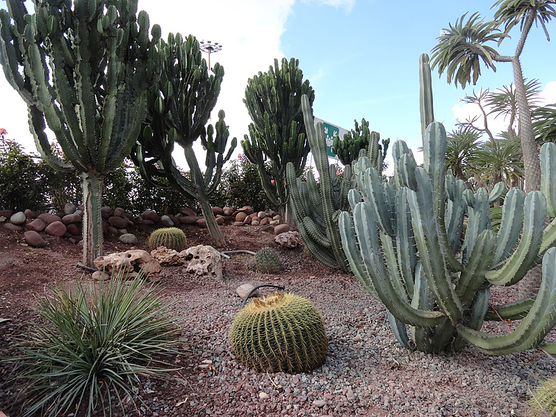 Skitnja po Maroku, foto: Pero Šindija Skitnja po Maroku, foto: Pero Šindija