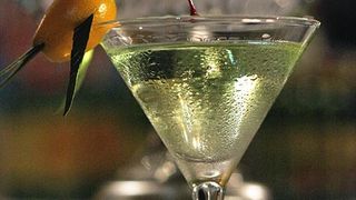 Havana Cup 2009. – 15. regionalno natjecanje barmena (foto: Marin Gospić)