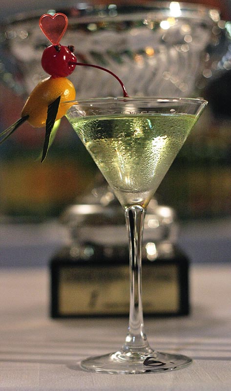 Havana Cup 2009. – 15. regionalno natjecanje barmena (foto: Marin Gospić)