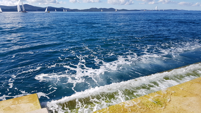 Zadarska Koka 2016. 22. listopada 2016. Foto: Mladen Malik Zadarska Koka 2016. 22. listopada 2016. Foto: Mladen Malik