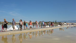 Nin: Prvi rođendan Muzeja soli