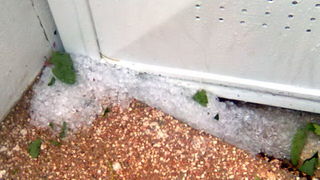 Pijavica s gradom poharala Dolaske Drage, Foto: Maria Dell’Orco Pijavica s gradom poharala Dolaske Drage, Foto: Maria Dell’Orco